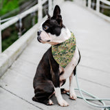 Japanese Bandana - Green Kimono