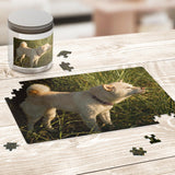 Create your own puzzle with YOUR Shiba!