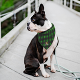 Stubborn Shiba Co - Green Plaid Bandana