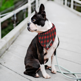Custom Name Bandana - Plaid Red
